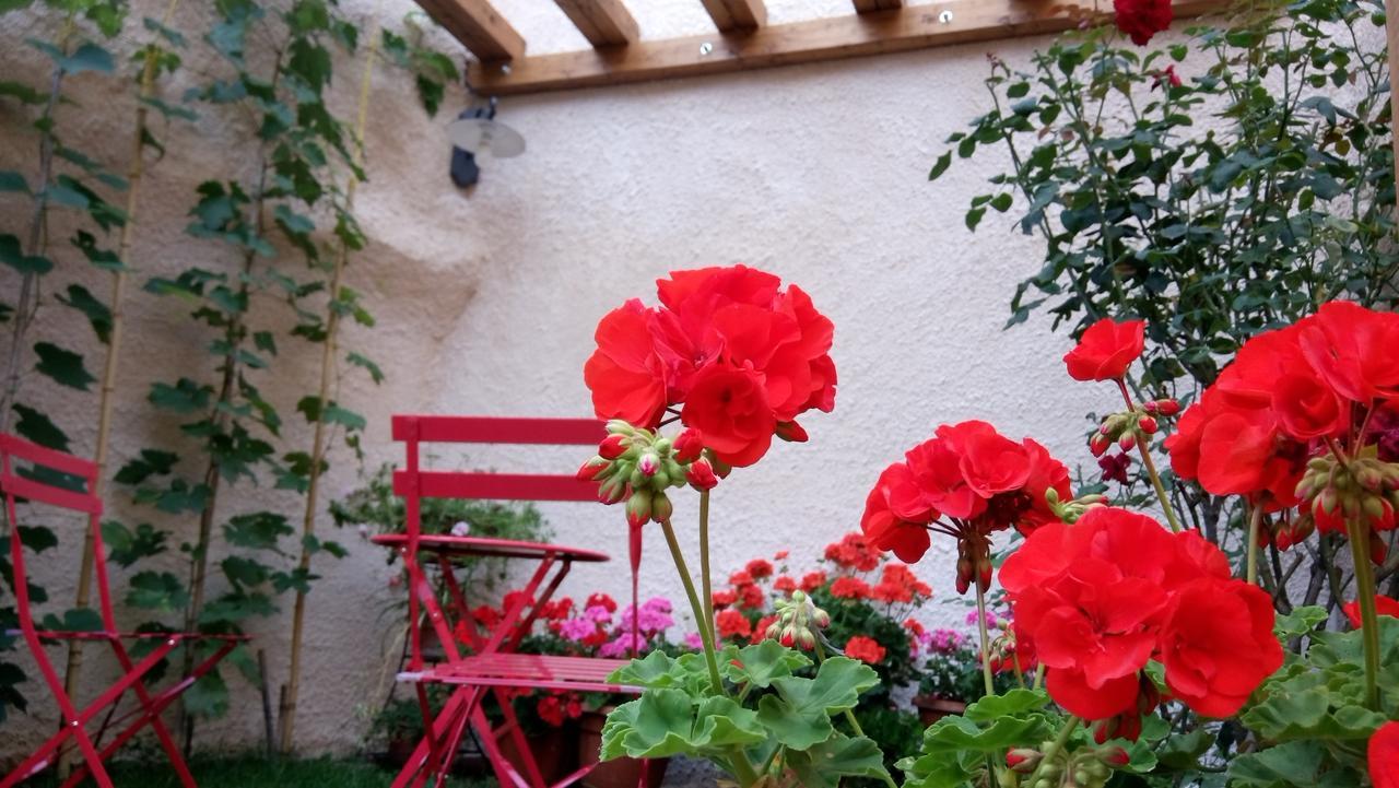 B&B A Casa Di Nonna Massa d'Albe Dış mekan fotoğraf