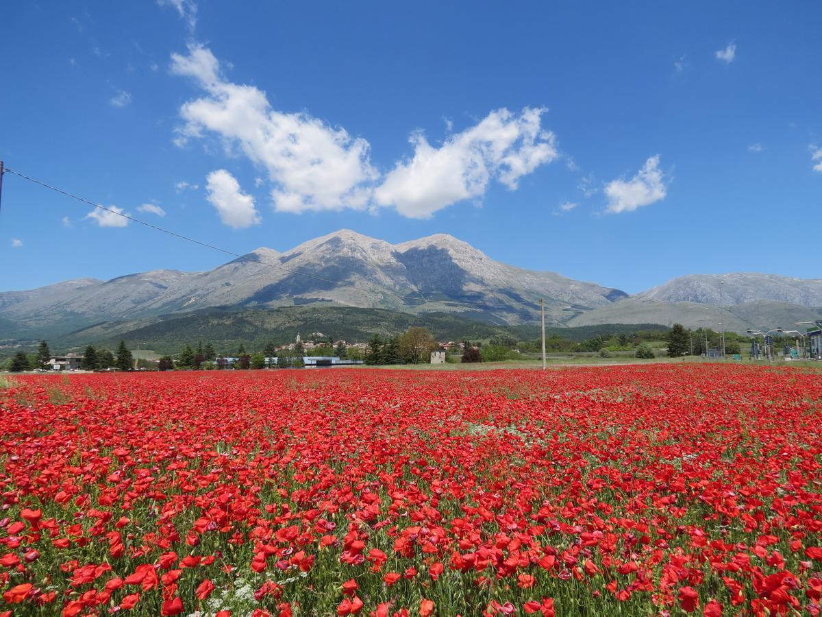 B&B A Casa Di Nonna Massa d'Albe Dış mekan fotoğraf